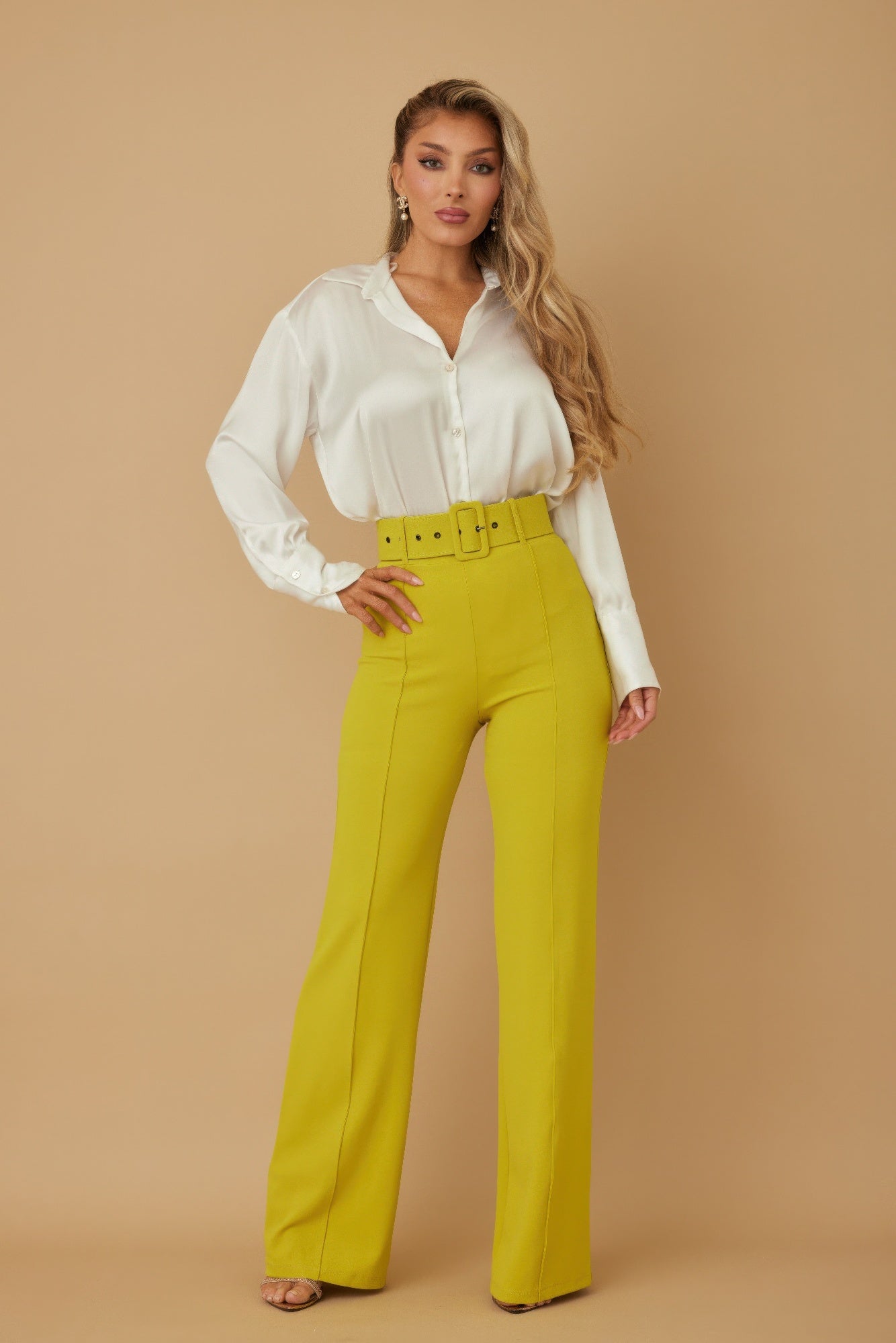 Classic High Waist Pants With Buckle Belt